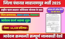 Zila_Panchayat_Narayanpur_RGSA Recruitment_2025